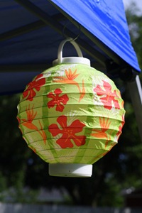 Graduation Party 013-001