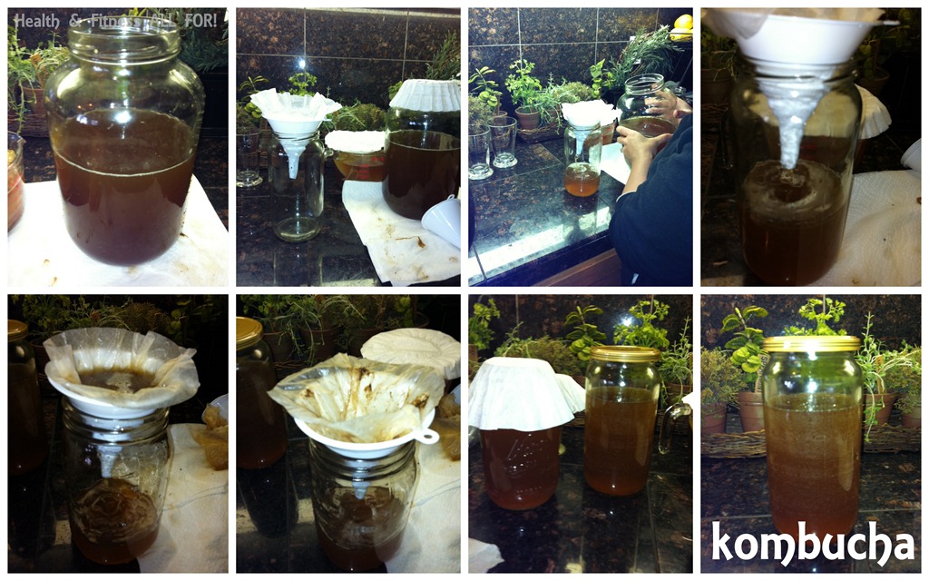 [kombucha-home-brew6.jpg]