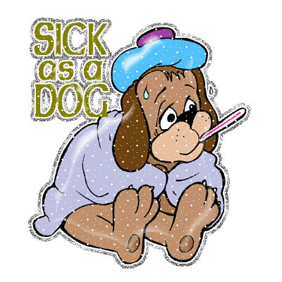 sickdog