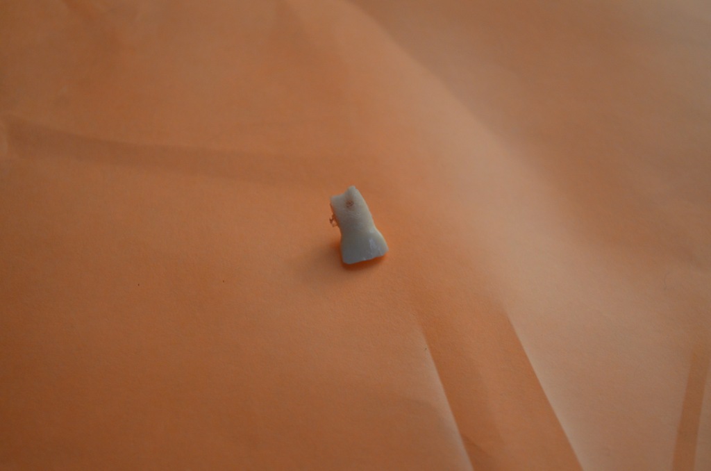 [DSC_1849%255B3%255D.jpg]