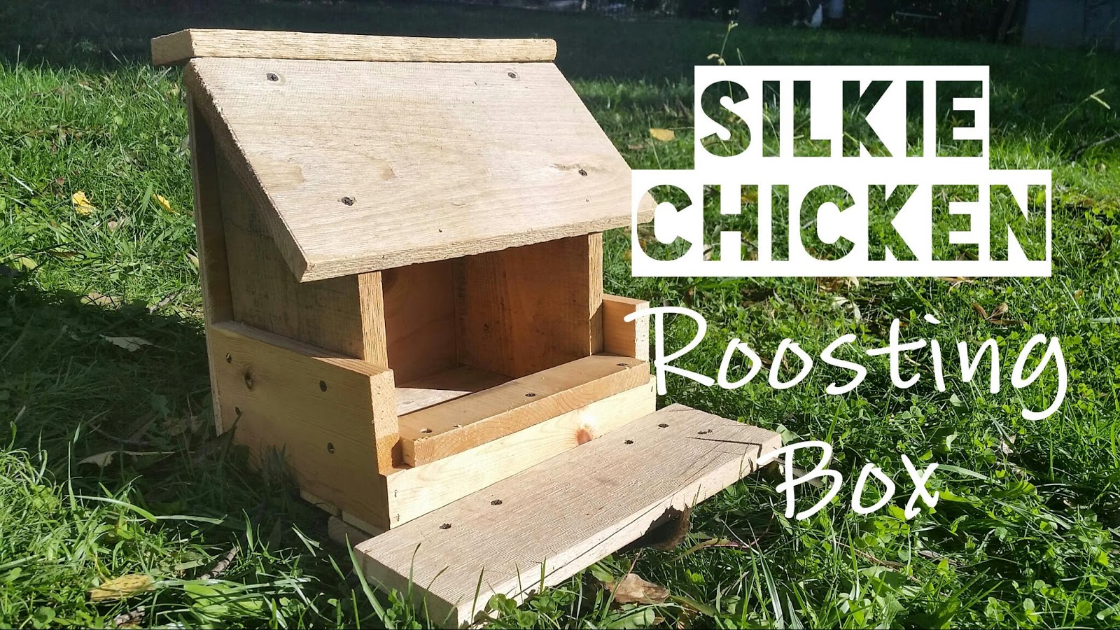 Designs By Jeannine: Silkie Chicken Roosting Box