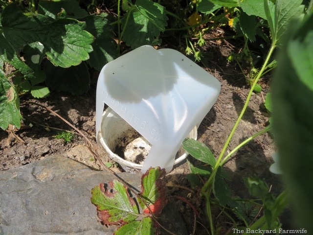 [slug%2520bait%2520cover%252004%255B6%255D.jpg]