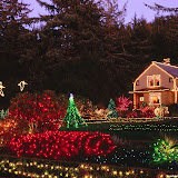 Navidad%2520Fondos%2520Wallpaper%2520%2520301.jpg