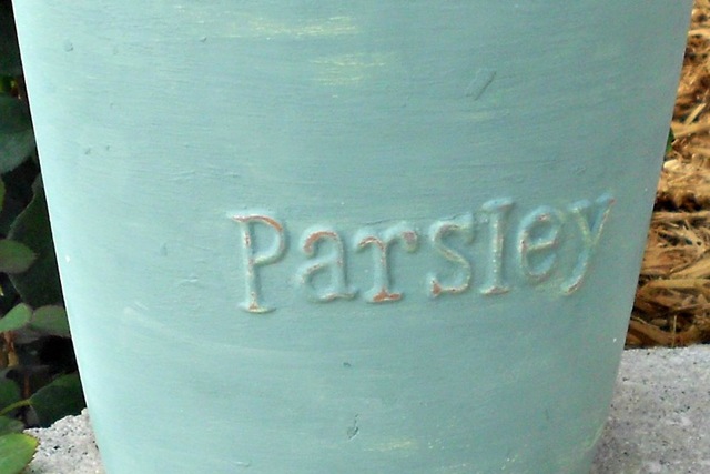 [DSCN1377-2%255B3%255D.jpg]