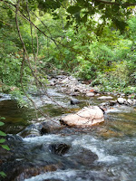 IMAGE_1000000396.JPG Photo