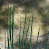 20130413_139