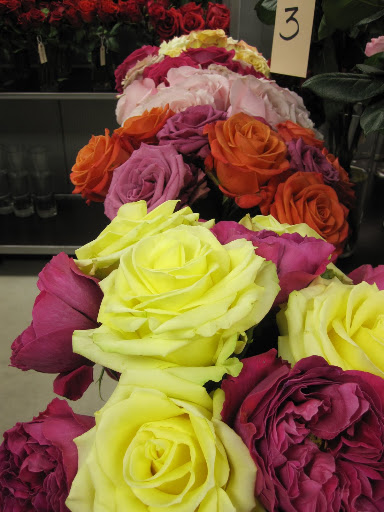 98 perfect of the roses in the shop are from Ecuador, other roses are brought in from Japan. 98 perfect of the roses in the shop are from Ecuador, other roses are brought in from Japan.