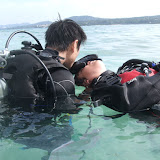 2012年1月の写真