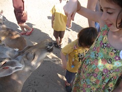 IMG_8719 IMG_8719