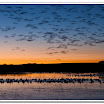 Bosque-7520.jpg