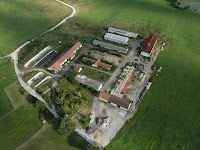 Vrabce_025.JPG