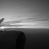 R0028389.JPG