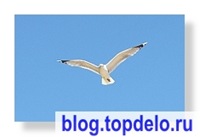 Природа Карелии