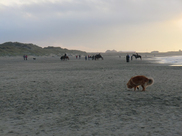 [november420110093.jpg]