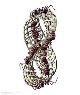 [m-escher-ants%255B2%255D.jpg]