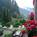 DSC02511.JPG