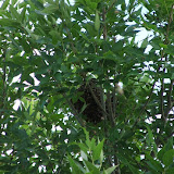 DSCF2347.JPG