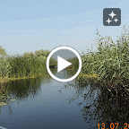 DSCN2714-MOTION.gif