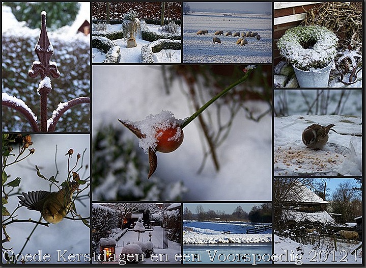 Winterpret 20092
