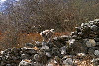 P1000841.JPG