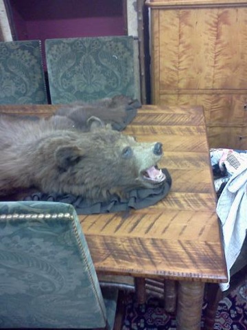 [bearrug%255B3%255D.jpg]