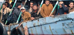 migration