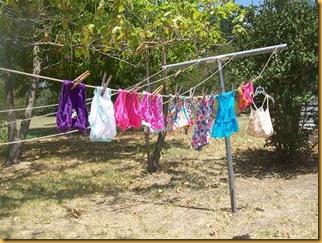 potty training-clothesline 001