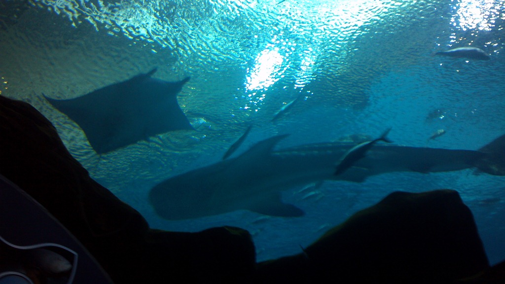 [2012-07-16_13-01-15_915%255B3%255D.jpg]
