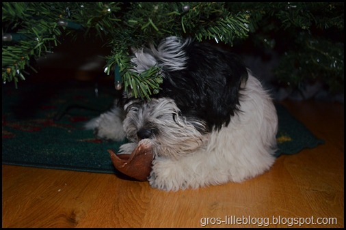 DSC_0067 DSC_0067