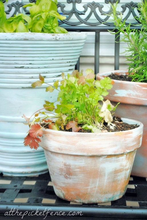 [aging-terra-cotta-pots-56.jpg]