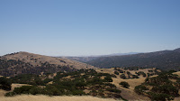 DSC02924.jpg