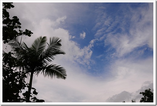 DSC_0573 DSC_0573
