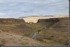 IMG_1733 IMG_1733
