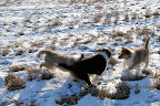 _DSC0035.JPG