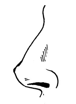 DIBUJOS DE NARICES PARA COLOREAR