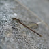 P1110848