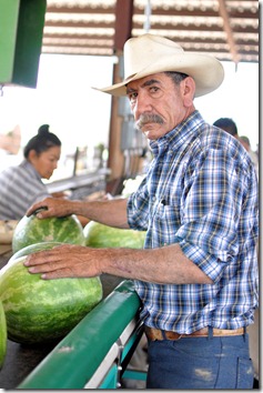 watermelons 11 0705 (58) watermelons 11 0705 (58)