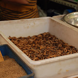 Shanghai - Pets market - les asticots