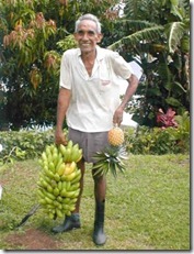 Tropical_fruit _harvest