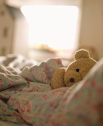 [adorable-awn-bear-bob-cute-Favim.com-305090_large%255B3%255D.jpg]