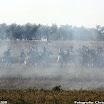 Albuera 1811-2011 Christophe Jagusiak-832.jpg