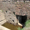 dsc06886.jpg