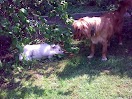 30042011150.jpg