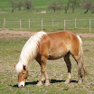 BP-2010-putim-0424-136.jpg