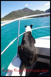 Cruise 033