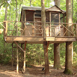 Tree House