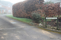 IMG_5446.JPG Photo