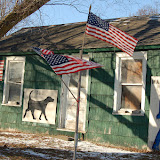 "Dog, Man, Flags" - copyright David J. Thompson