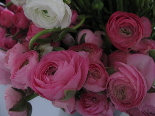 I'm such a sucker for ranunculus. I think they're not only pretty but have a lot of character.