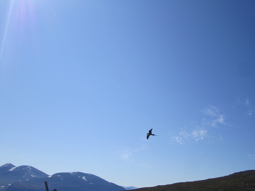 [IMG_1728%255B3%255D.jpg]